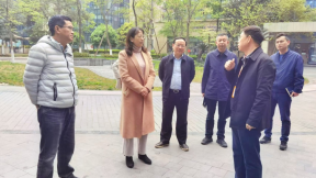 落实两会精神  深入民营企业调查研究